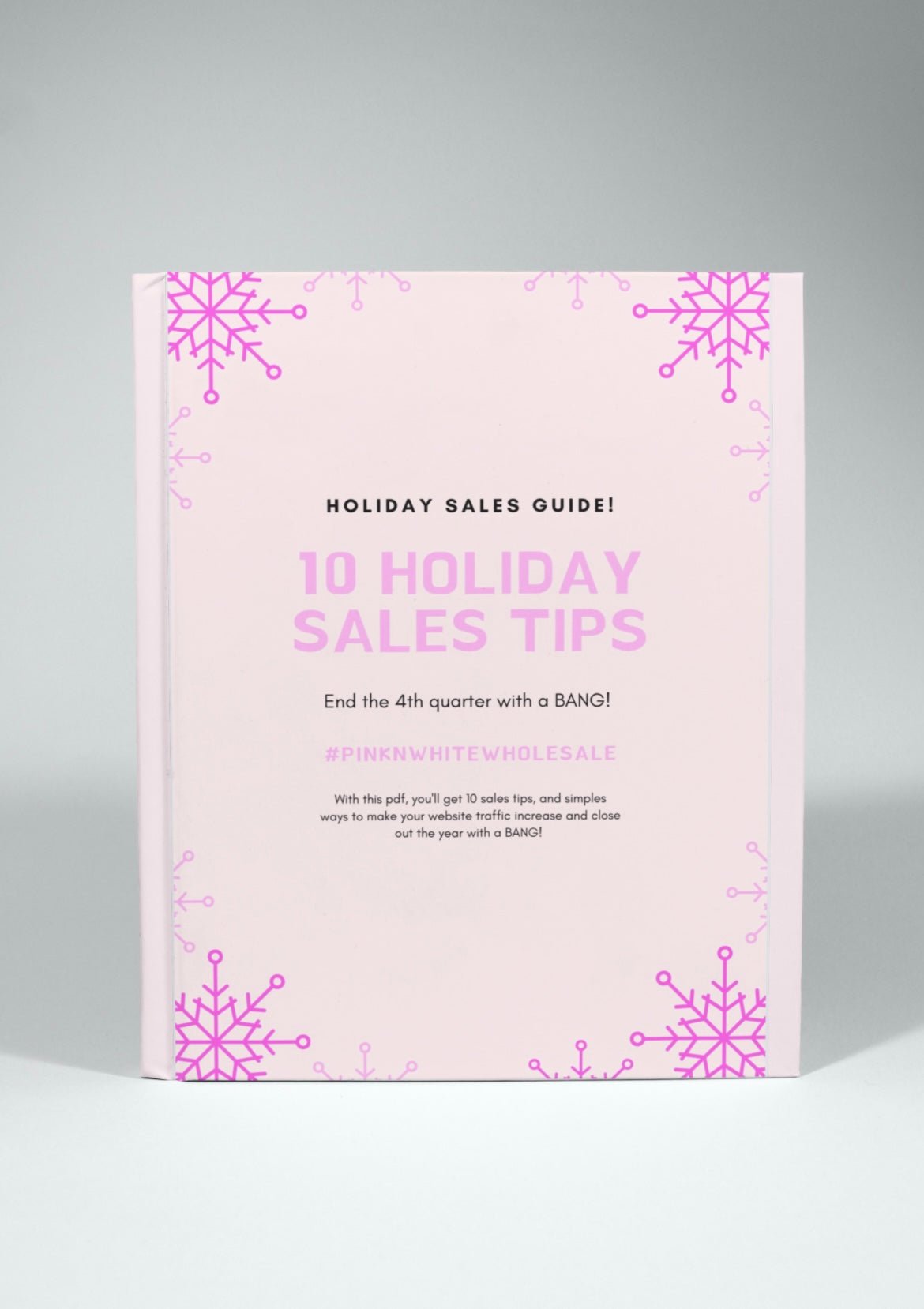 10 Holiday Tips that WORK! 💰 - Pink N White Factory